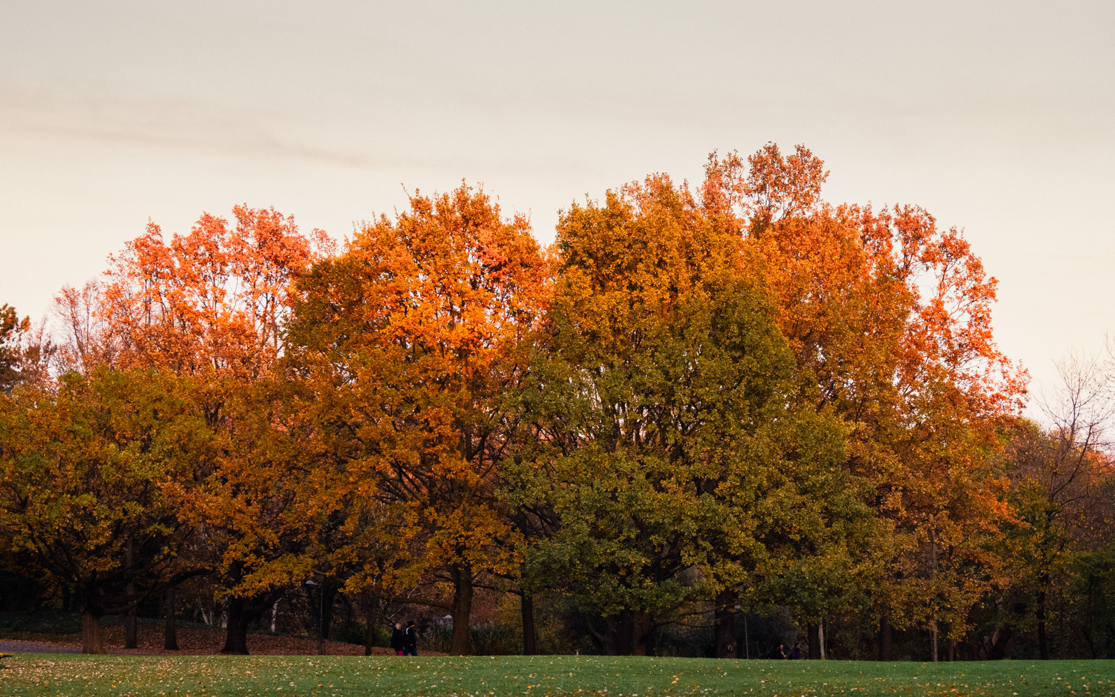 Herbststimmung