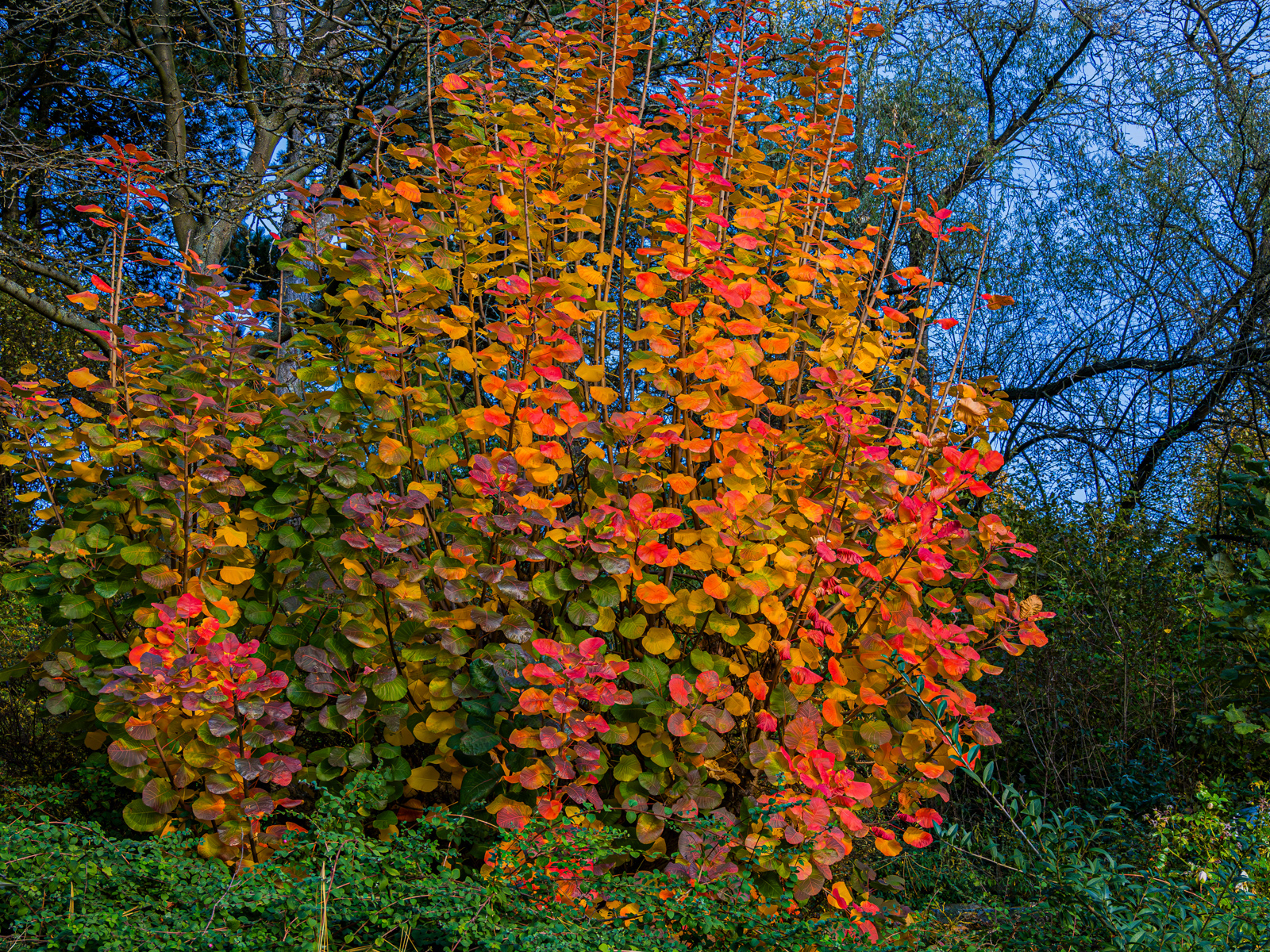 Herbststimmung