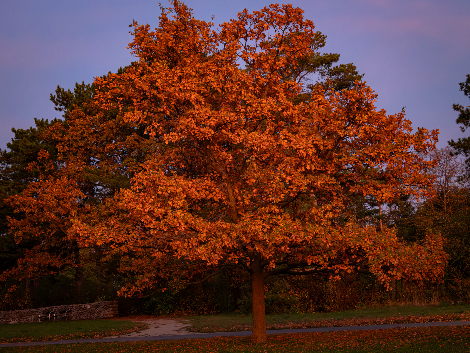 Herbststimmung