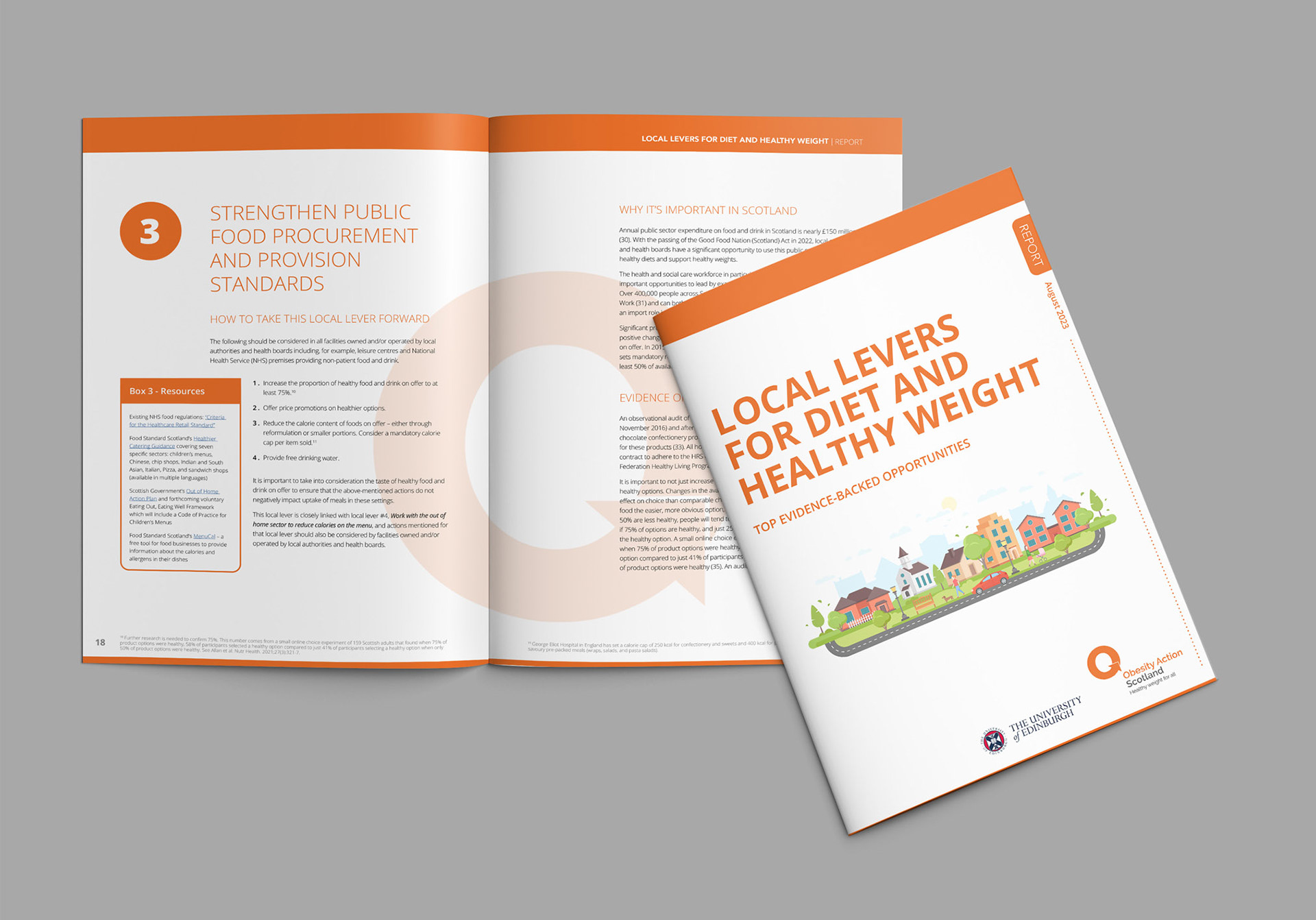report cover and inner spread