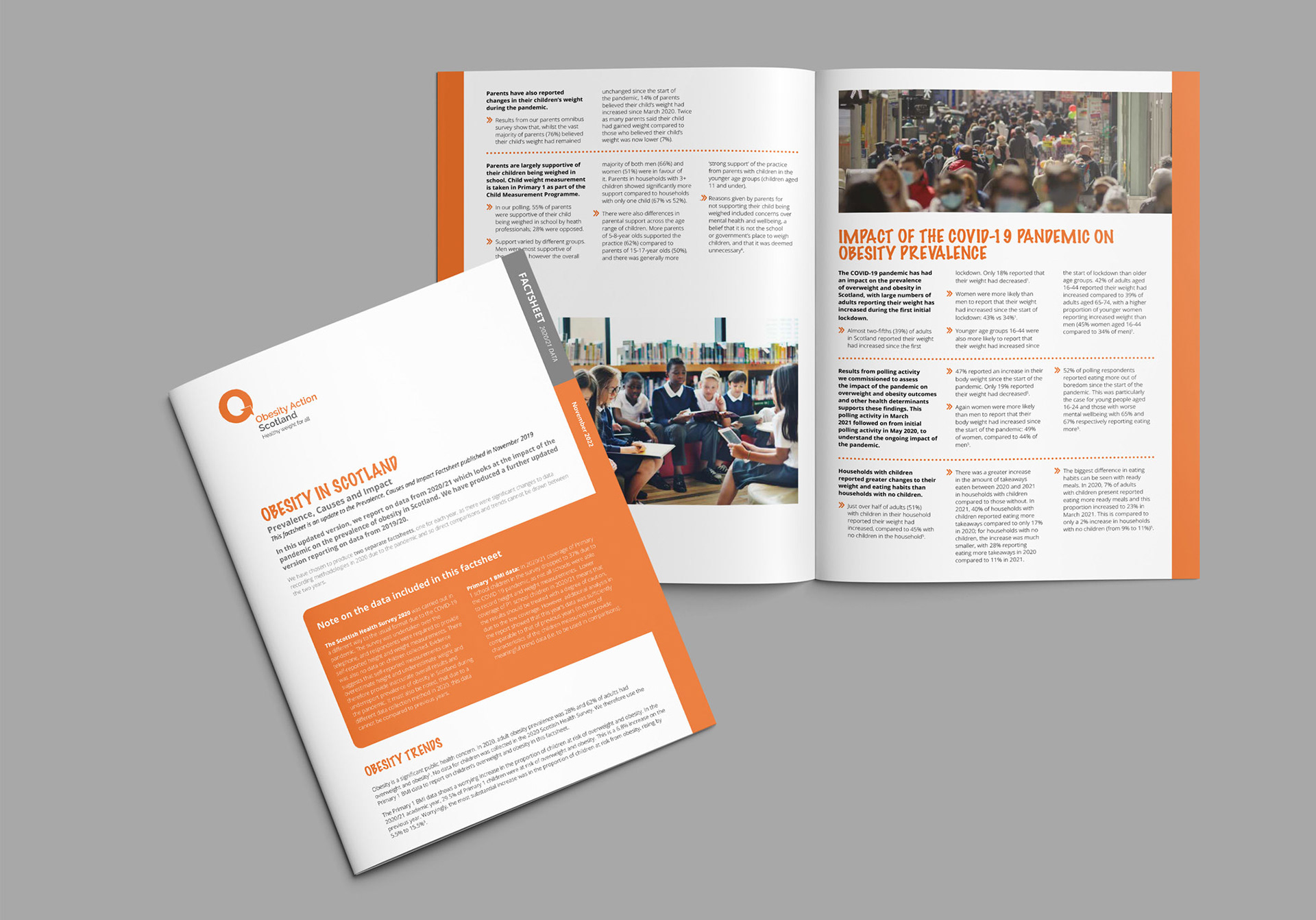 factsheet cover and inner spread