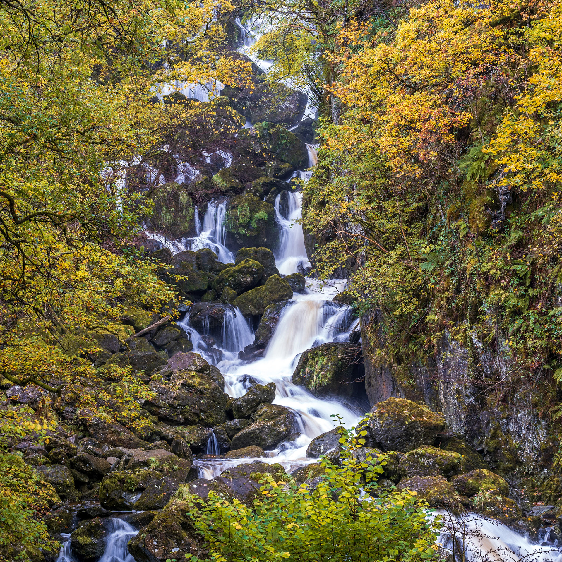 Lodore Falls - Derwentwater