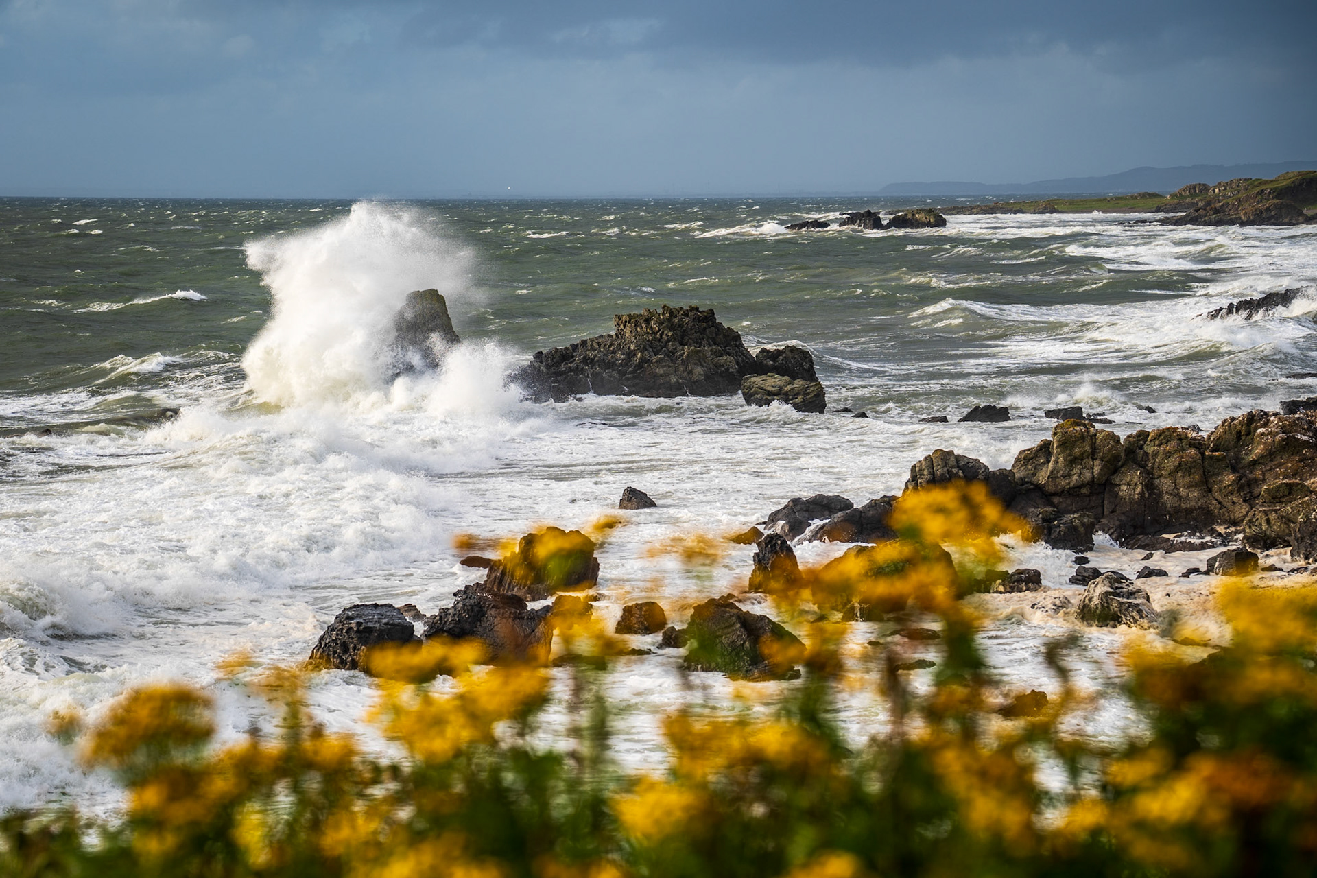 Storm Floris