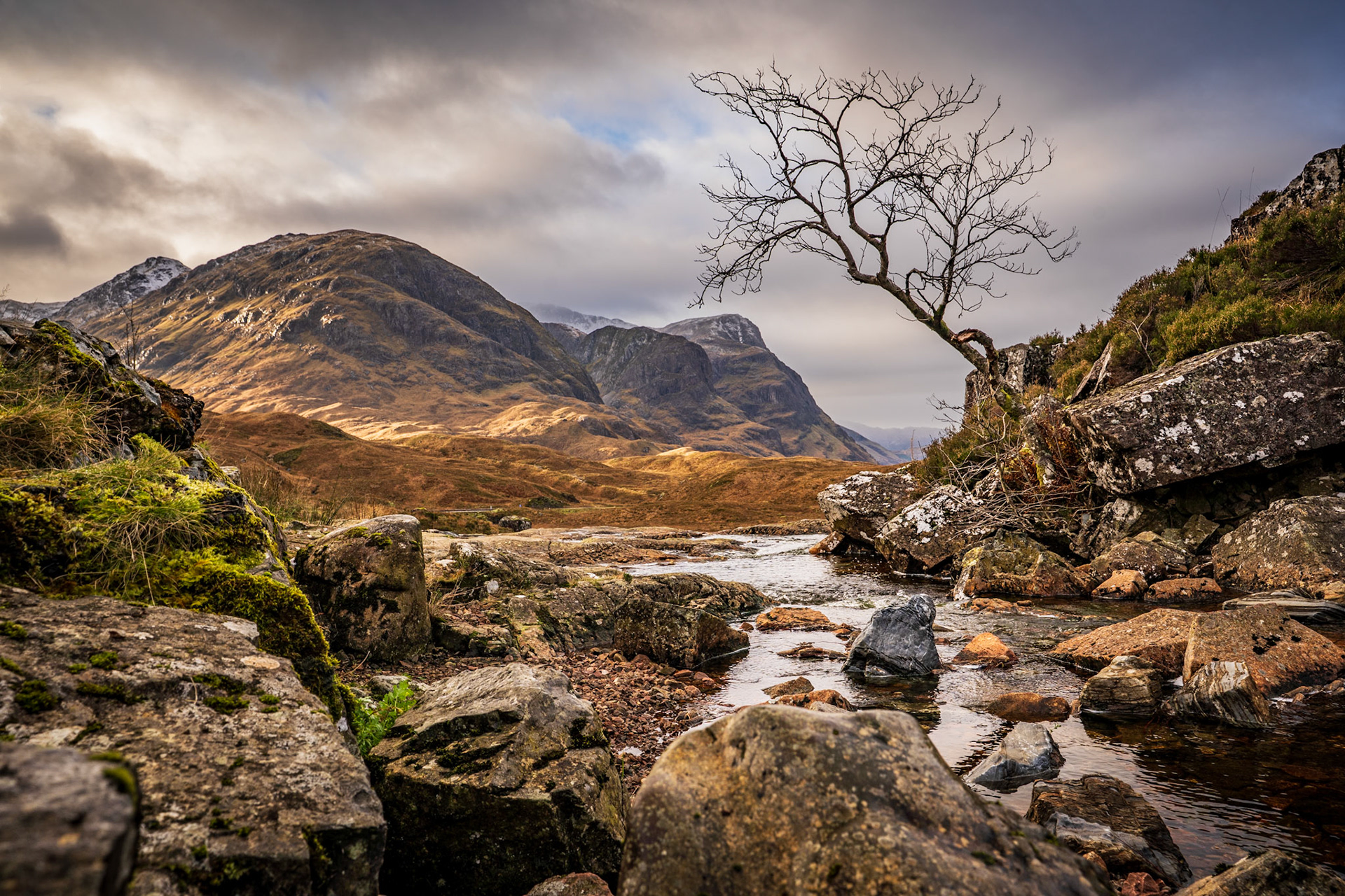 Three Sisters and a Lone Tree - Glen Coe