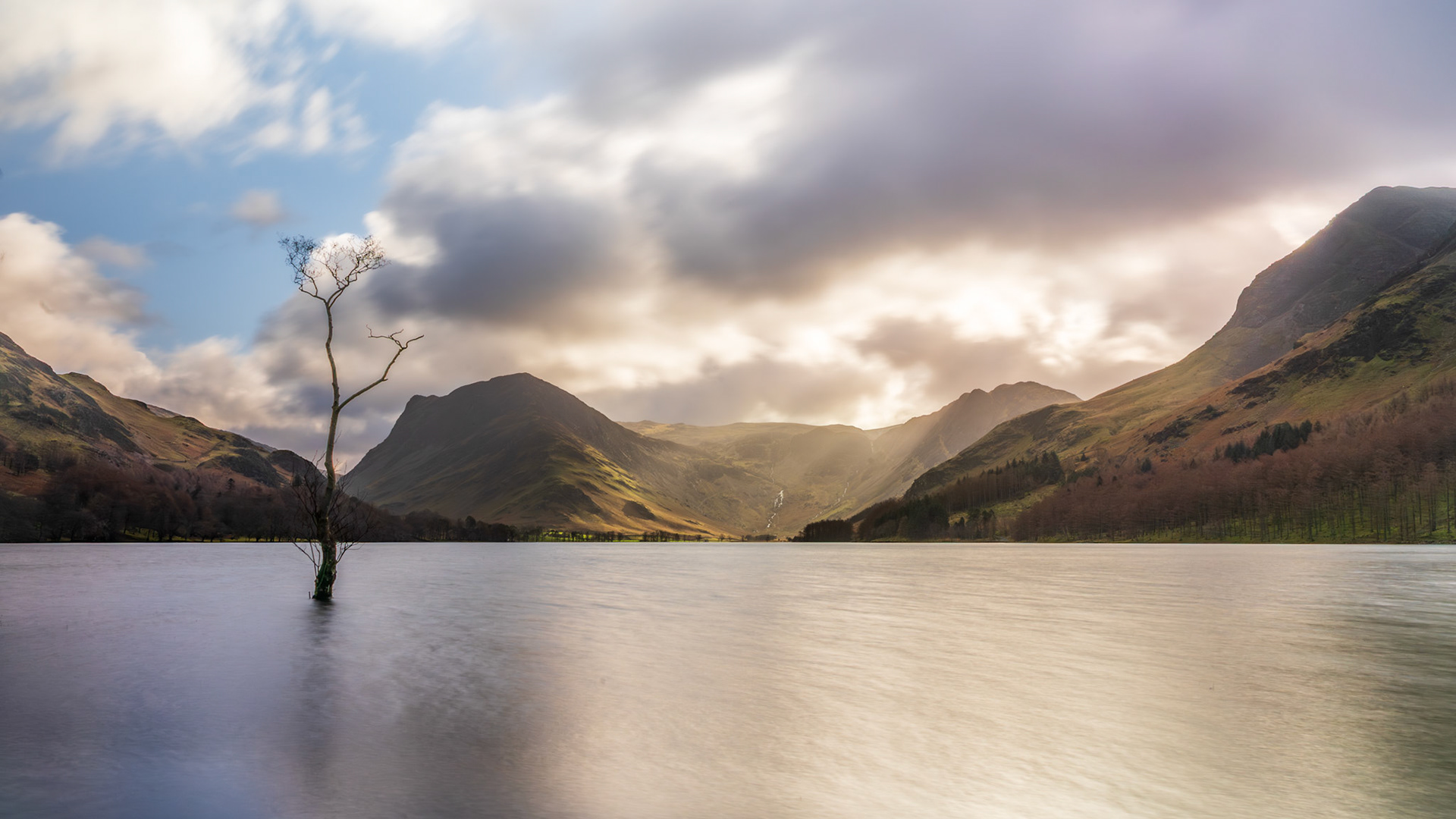 Buttermere Lone tree