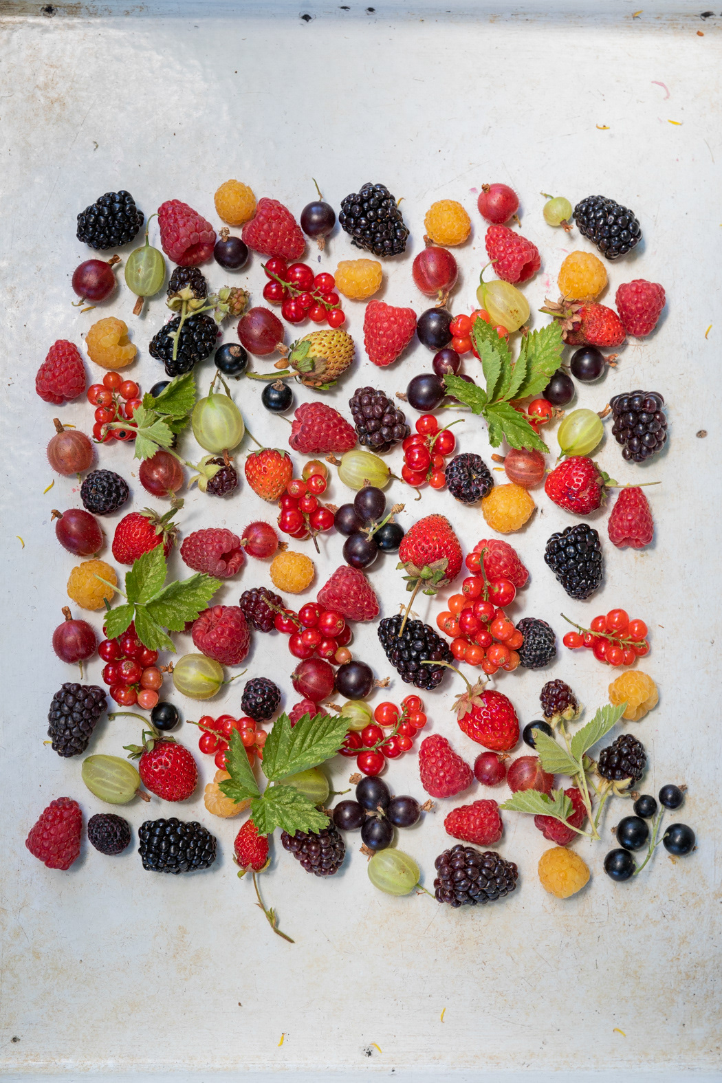 Guido Tussi - Editorial Planeta