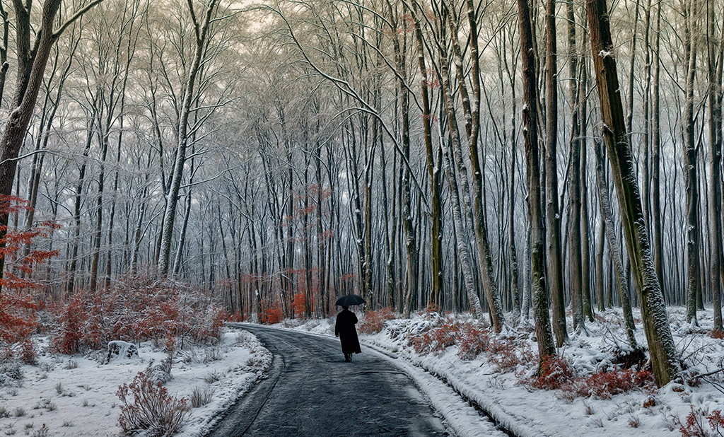 Inverno nel Monferrato