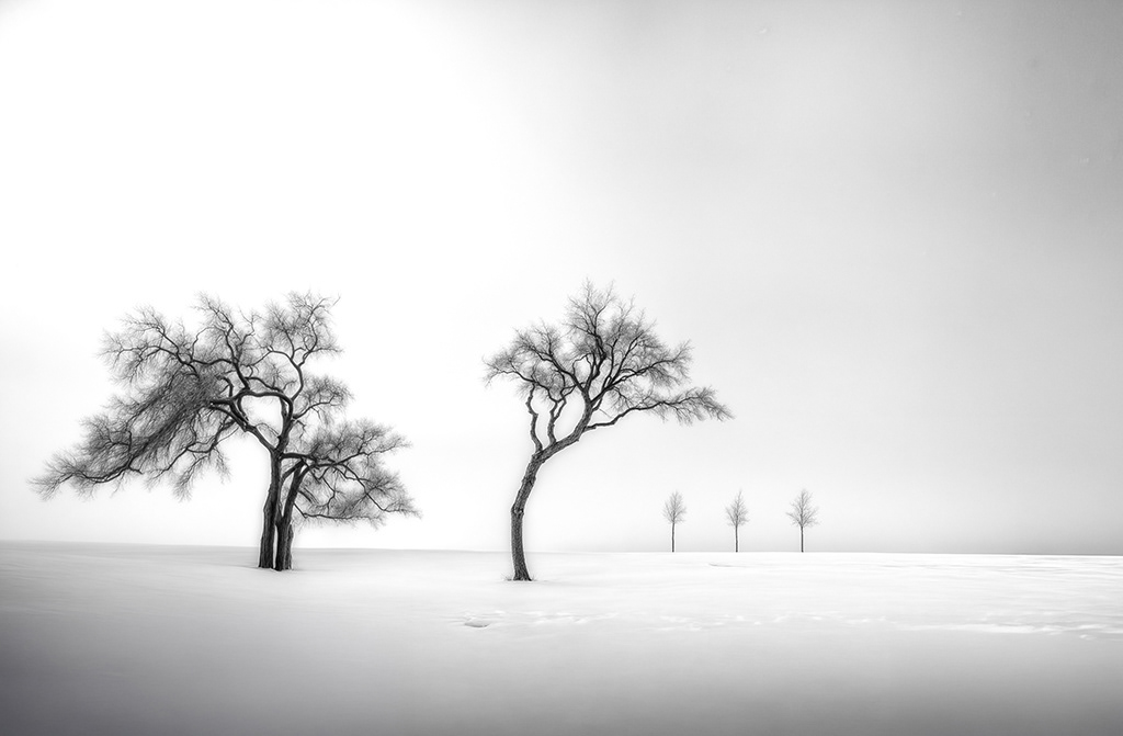 Solitudine invernale