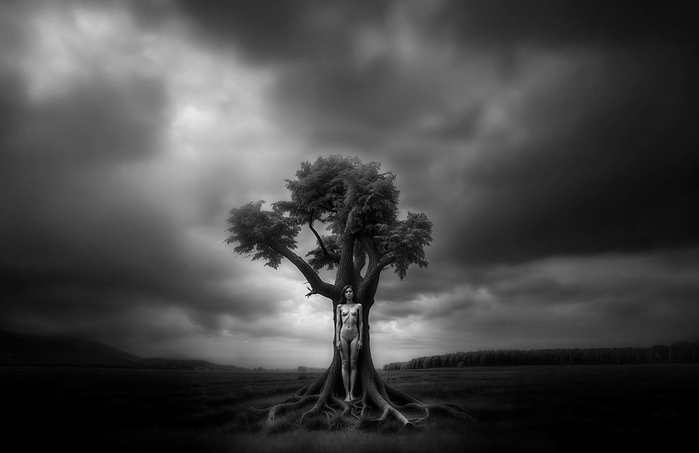The Tree of Life