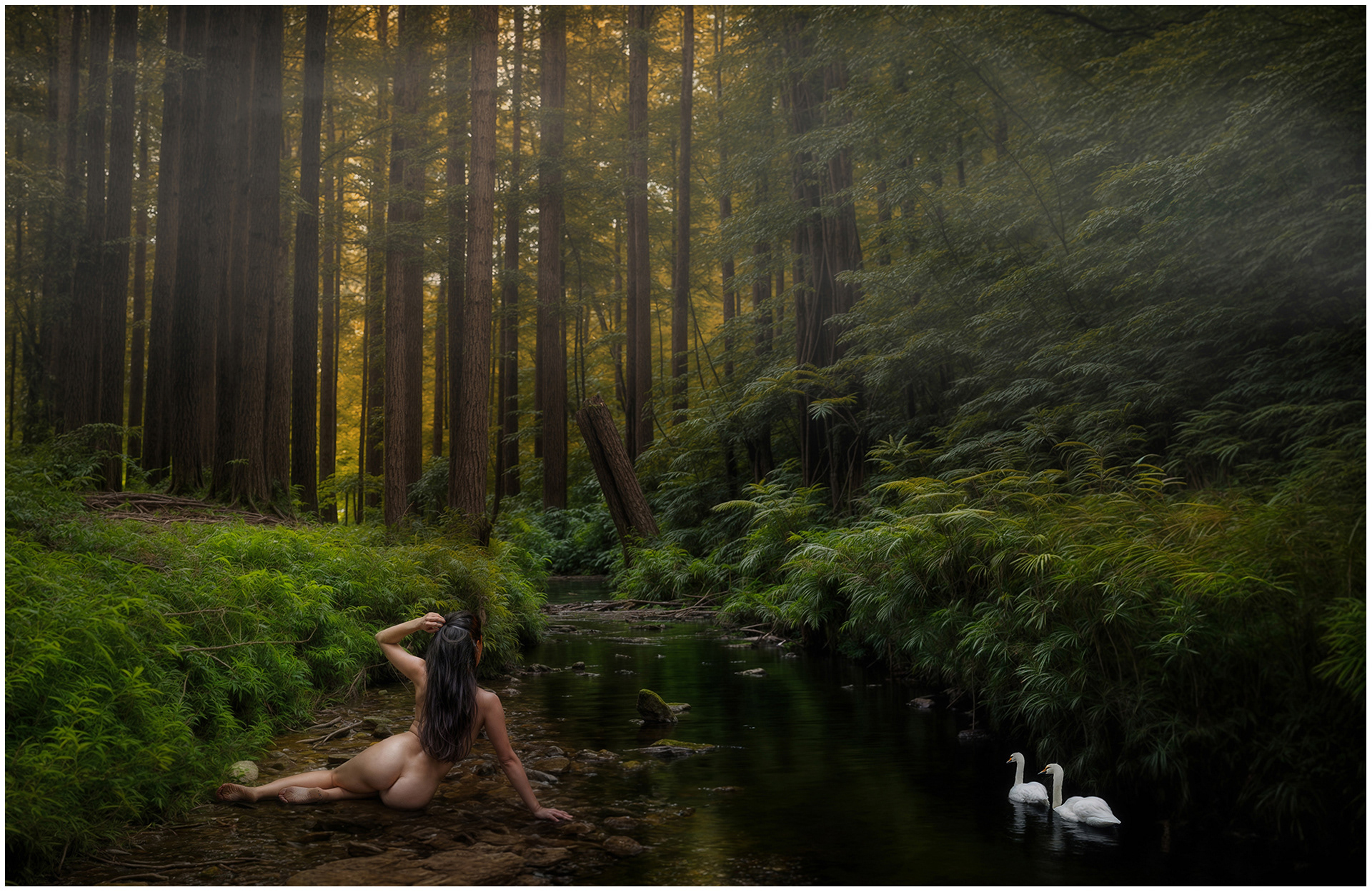 The stream in the forest