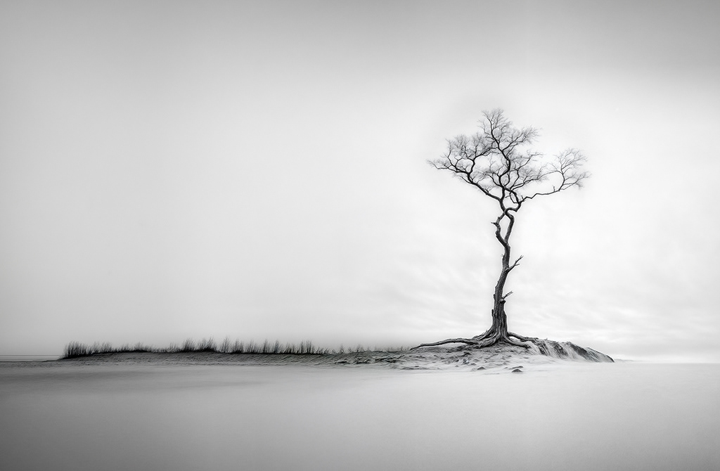 Winter Solitude