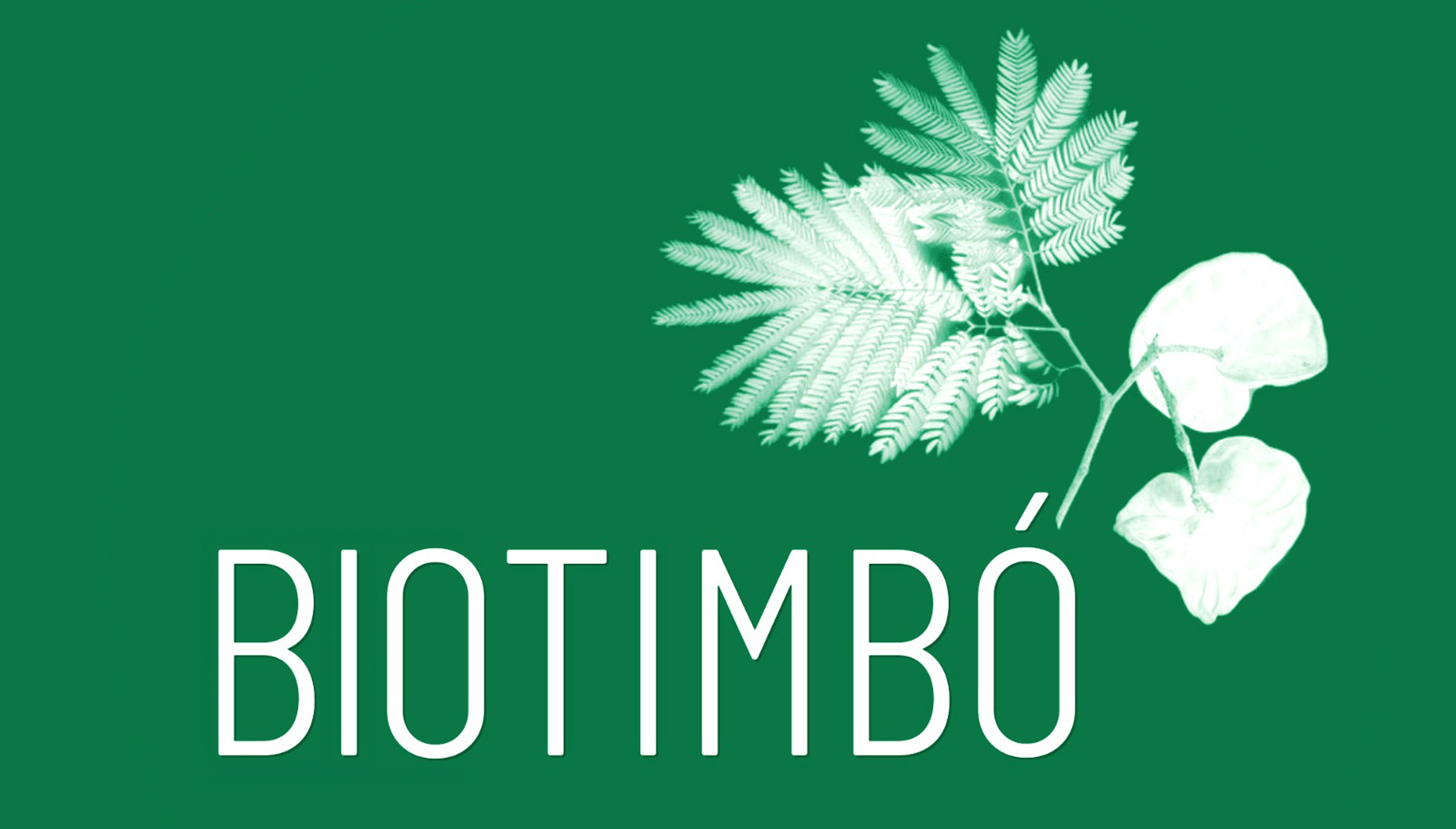 BIOTIMBO