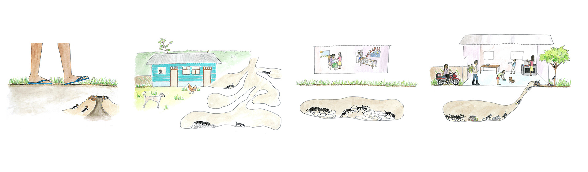 Social structures: human & ant