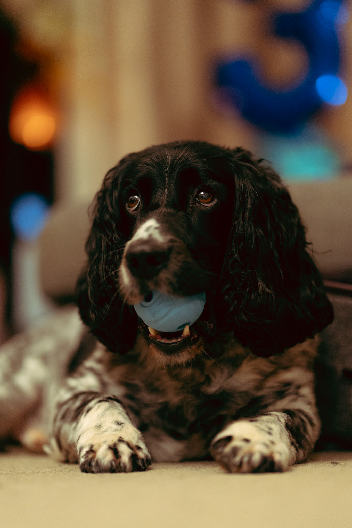 Mylo