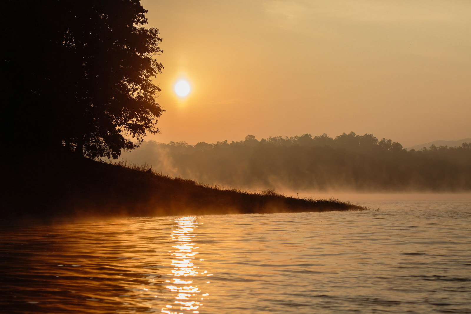 The sun shines through the fog at Bhadra Wildlife Sanctuary, Karnataka