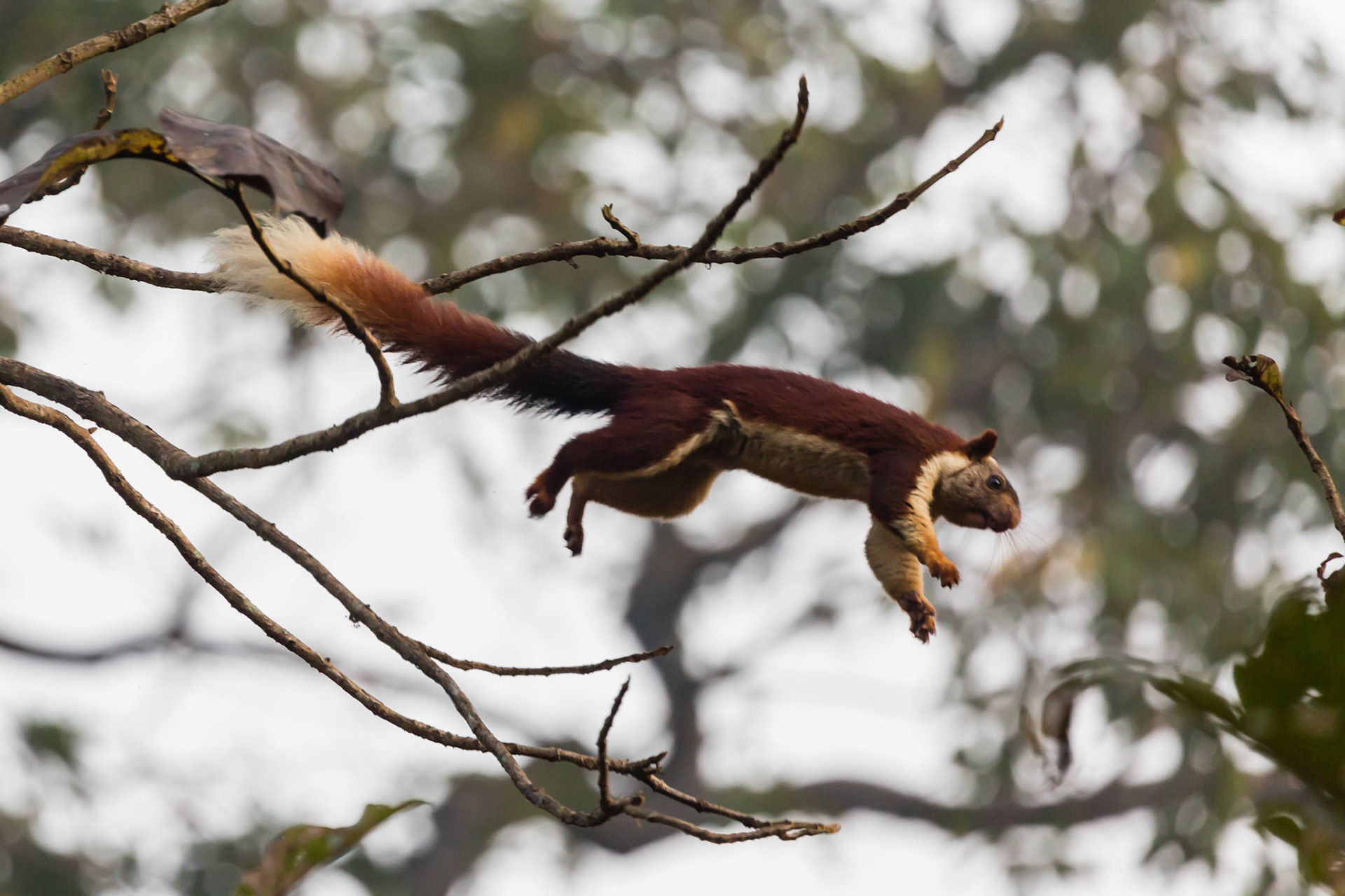 I have no clue how this picture got into this category