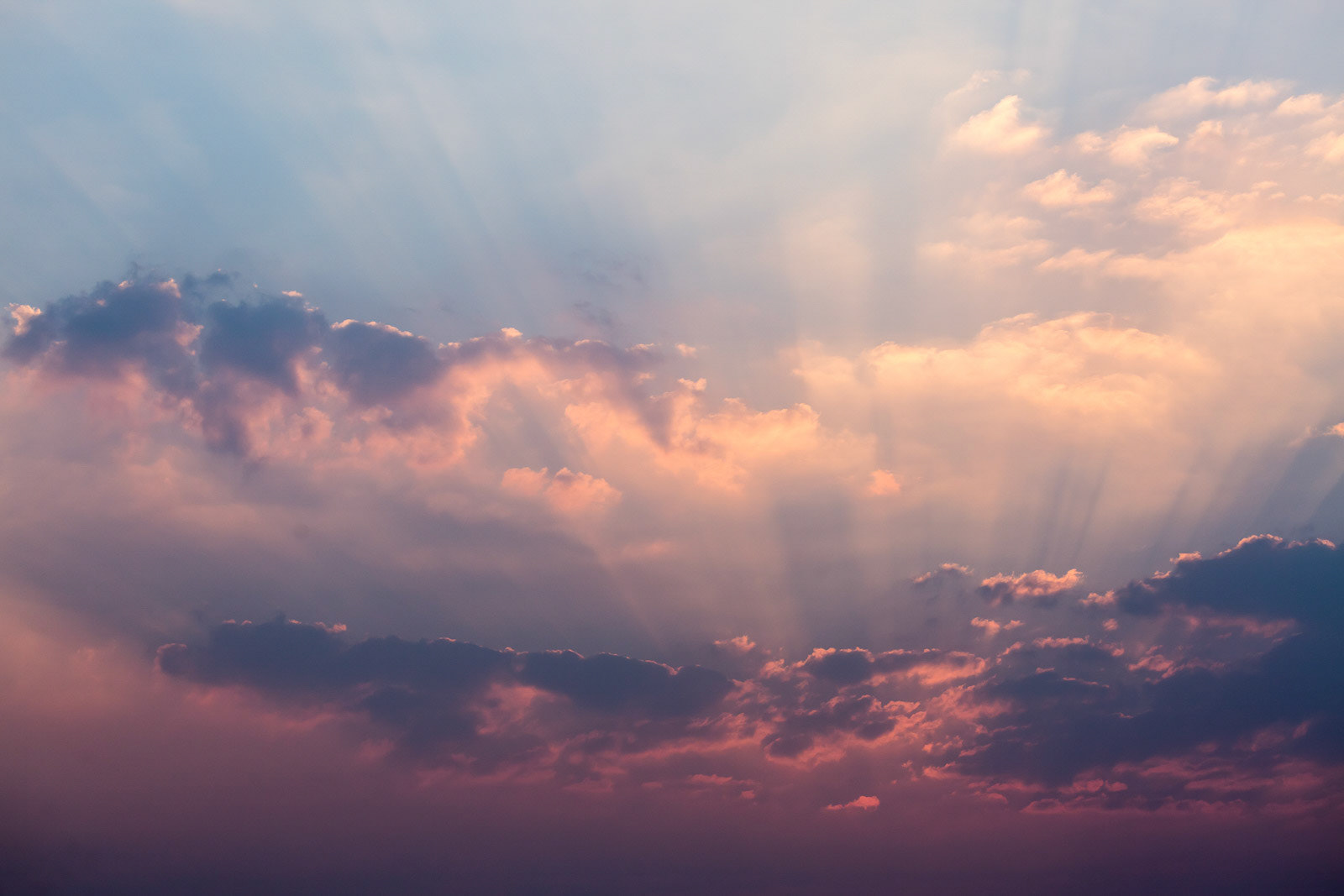 Twilight at Nagarhole National Park, Karnataka