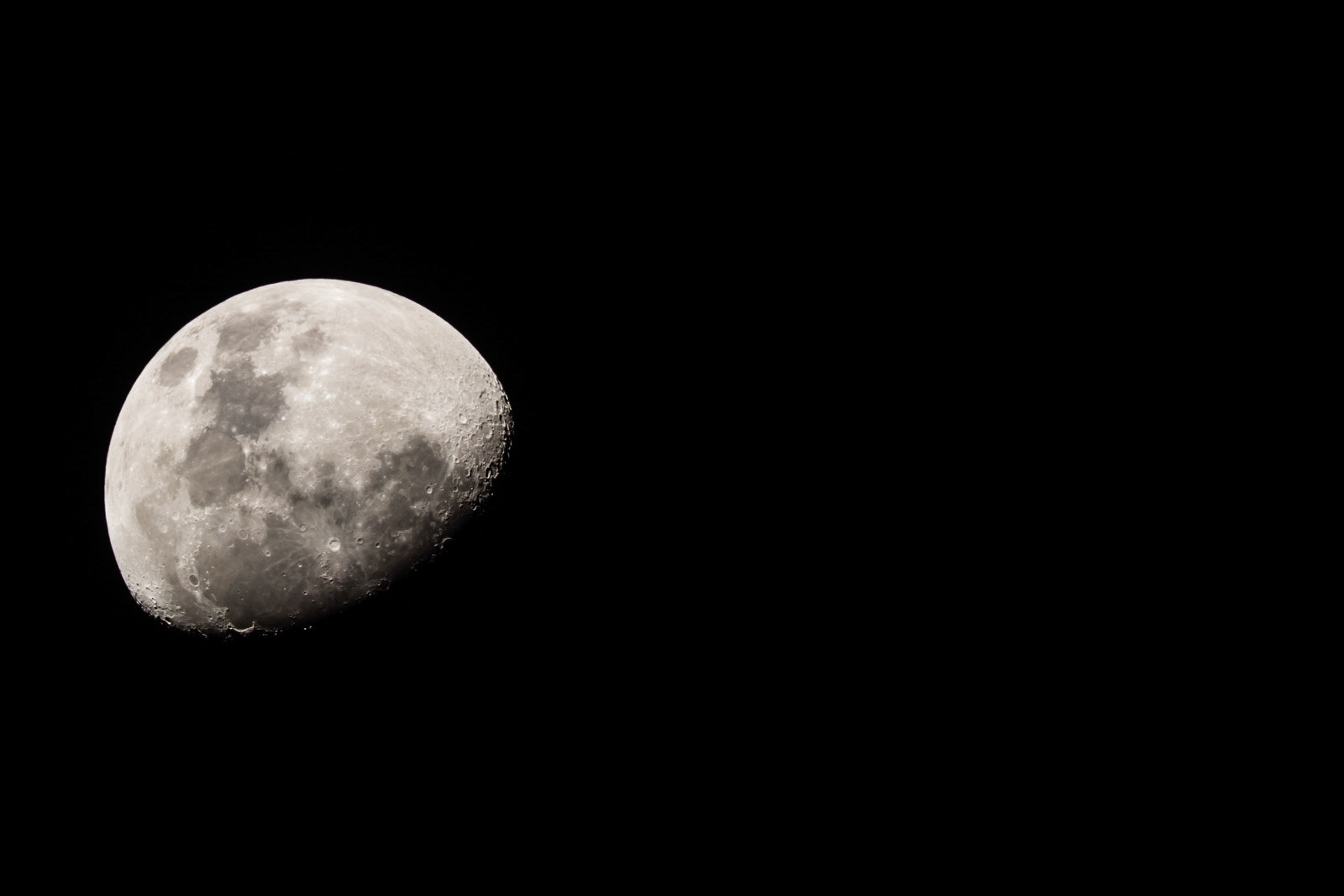 A close up of the moon shot from Dandeli Wildlife Sanctuary, Karnataka