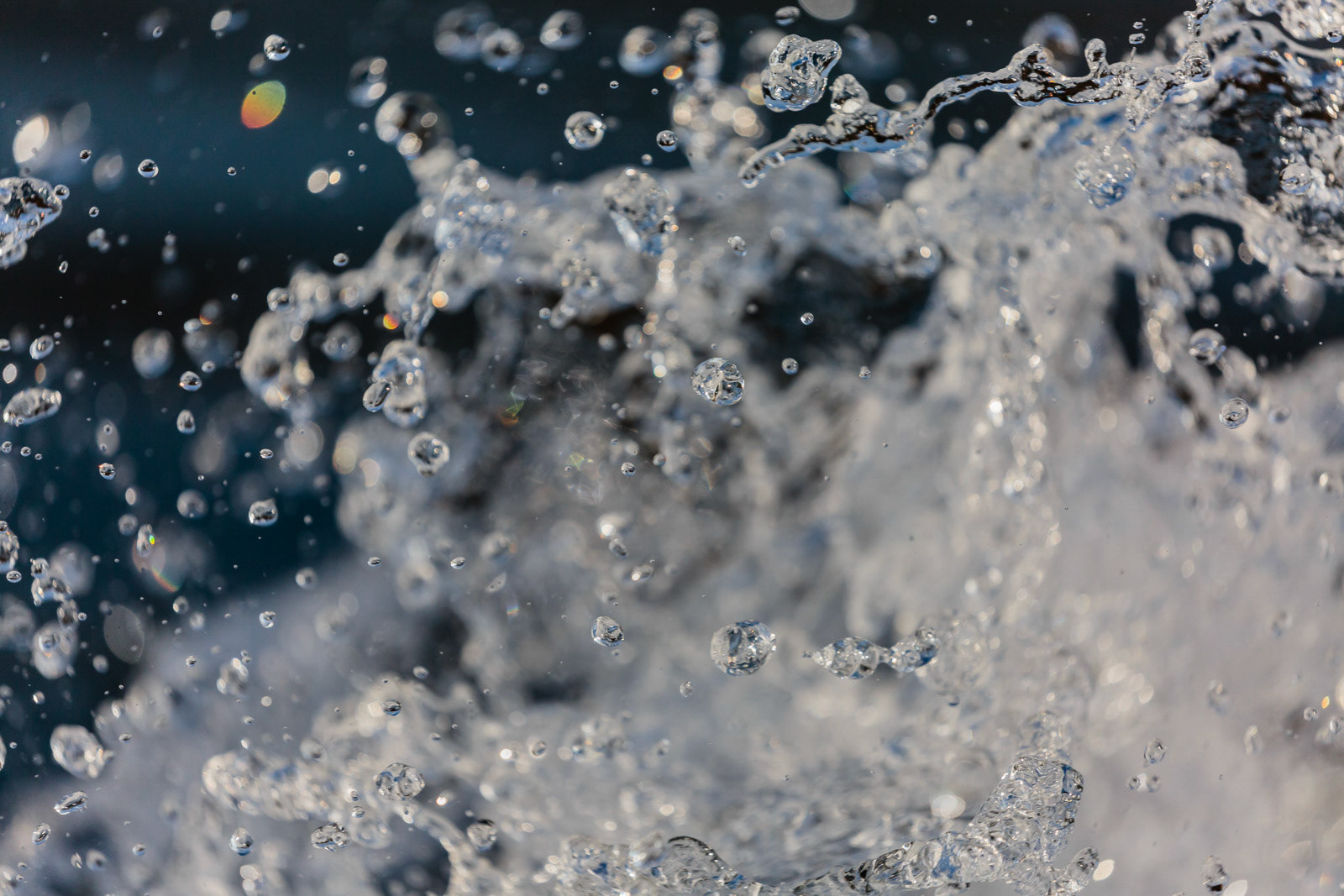 A water splash caught in the moment as we cruised through the Bhadra Wildlife Sanctuary, Karnataka