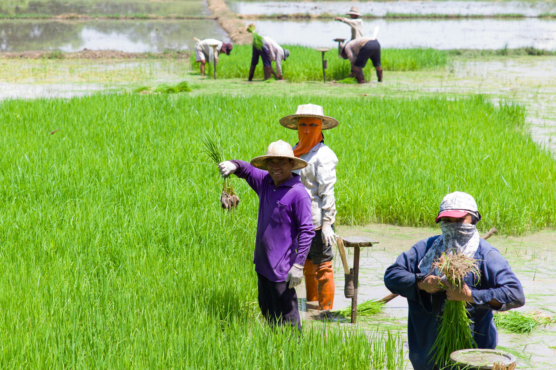 Thailand-123.jpg