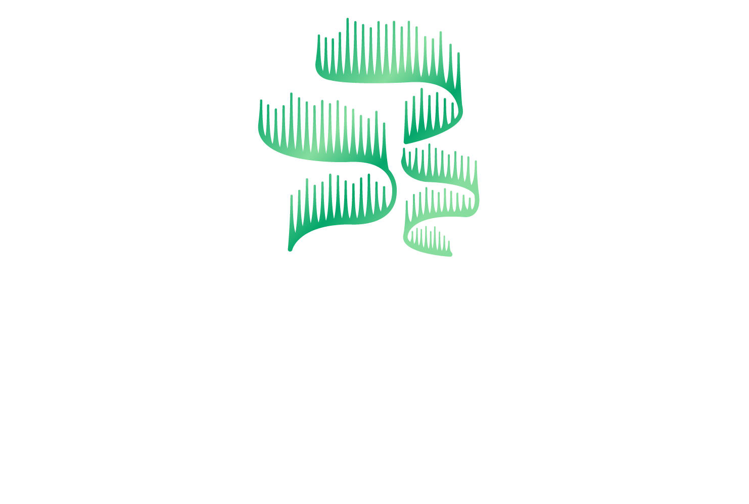 Aurora Creative
