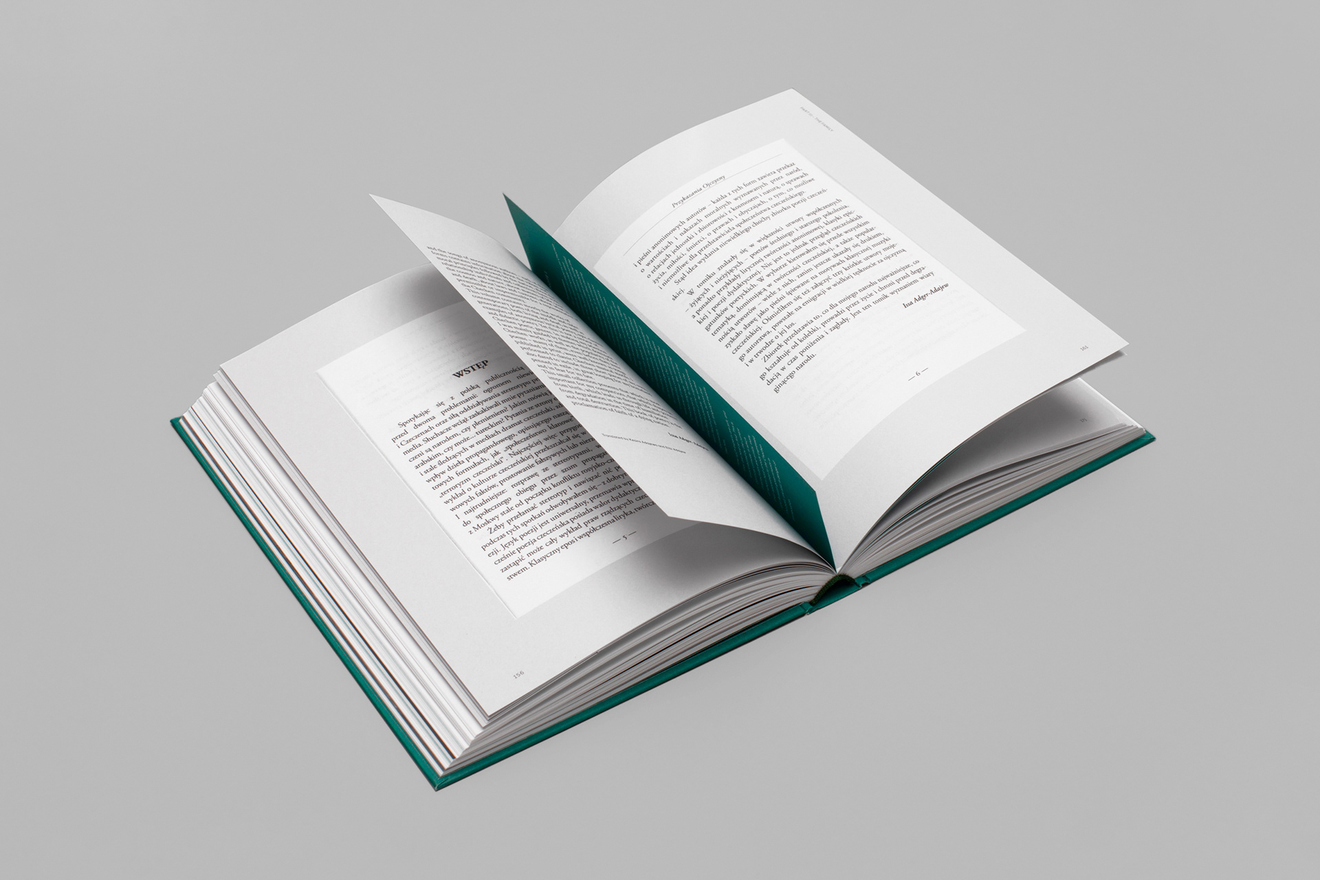 Photo 'The Daughters, The Interpreters and The Family'