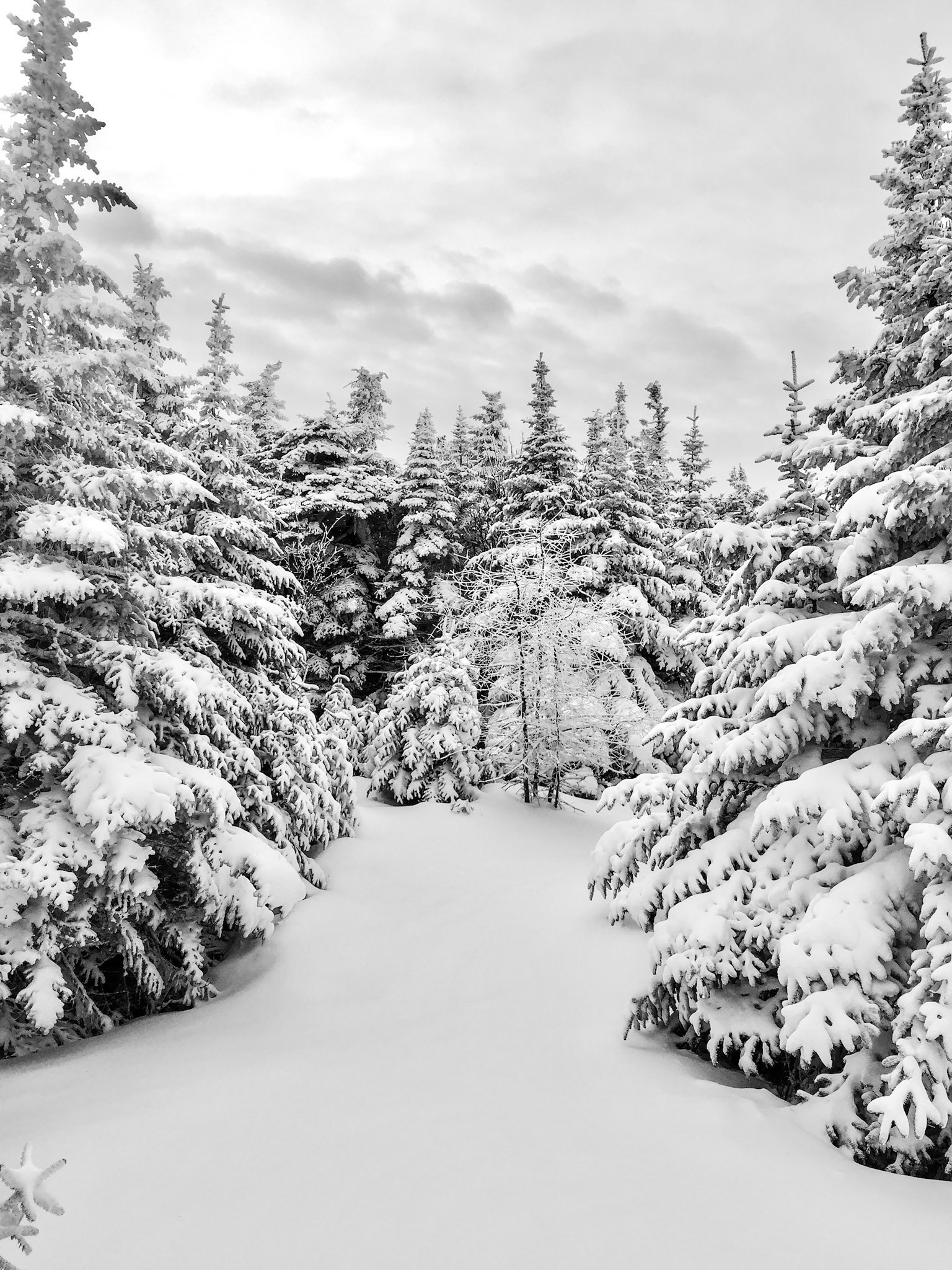 Stratton Mountain, Vermont