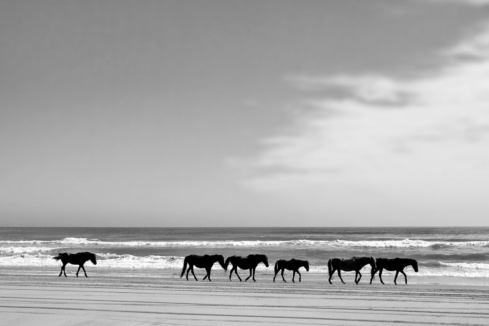 Outer Banks, North Carolina