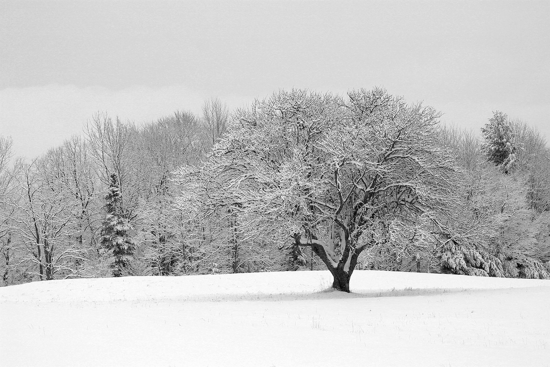 South Londonderry, Vermont
