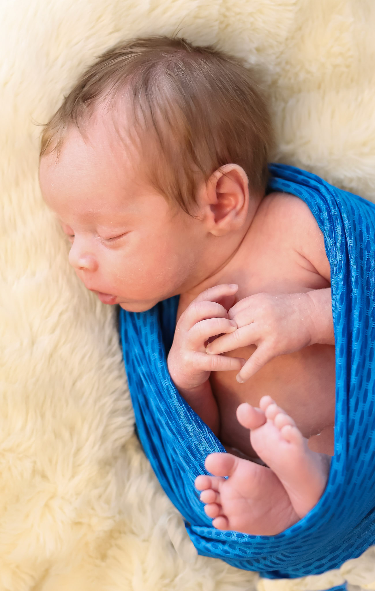 Central Florida Newborn Photographer