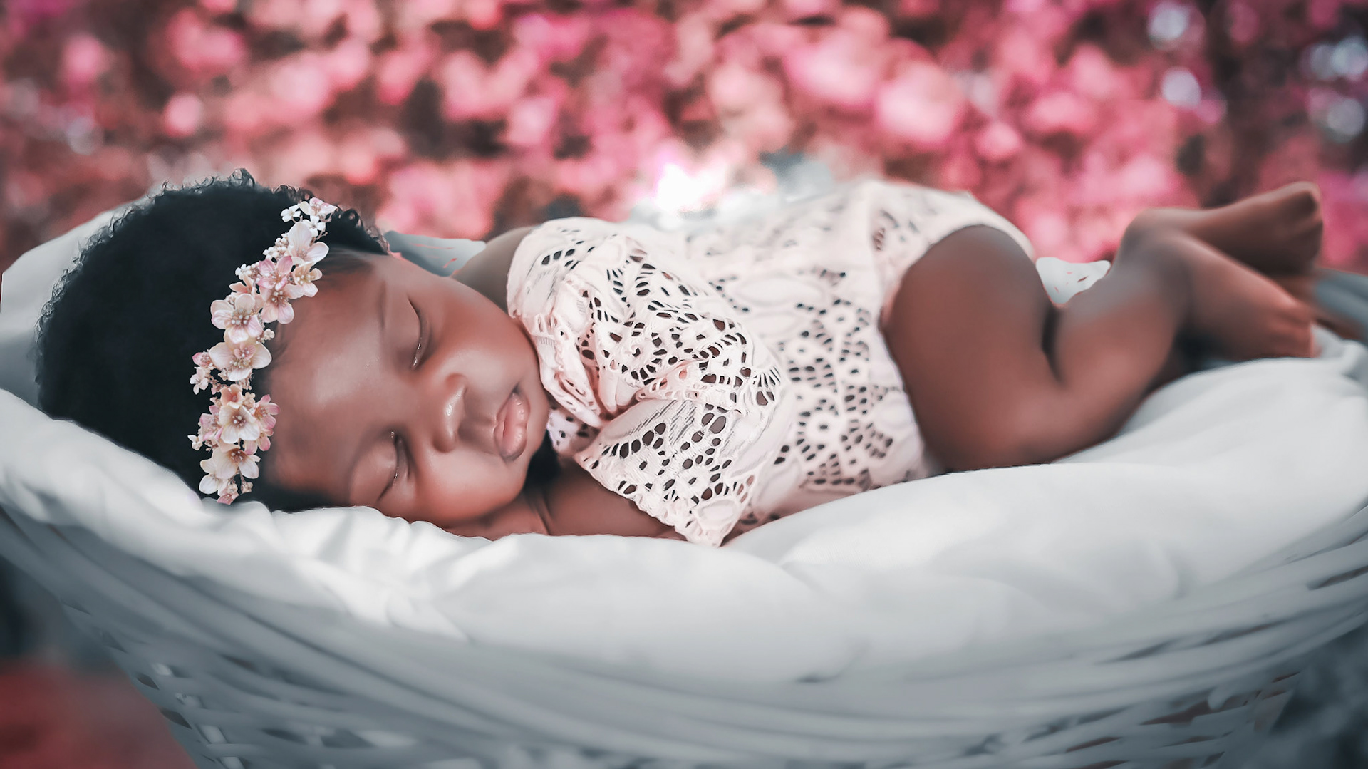 Central Florida Newborn Photography Gallery