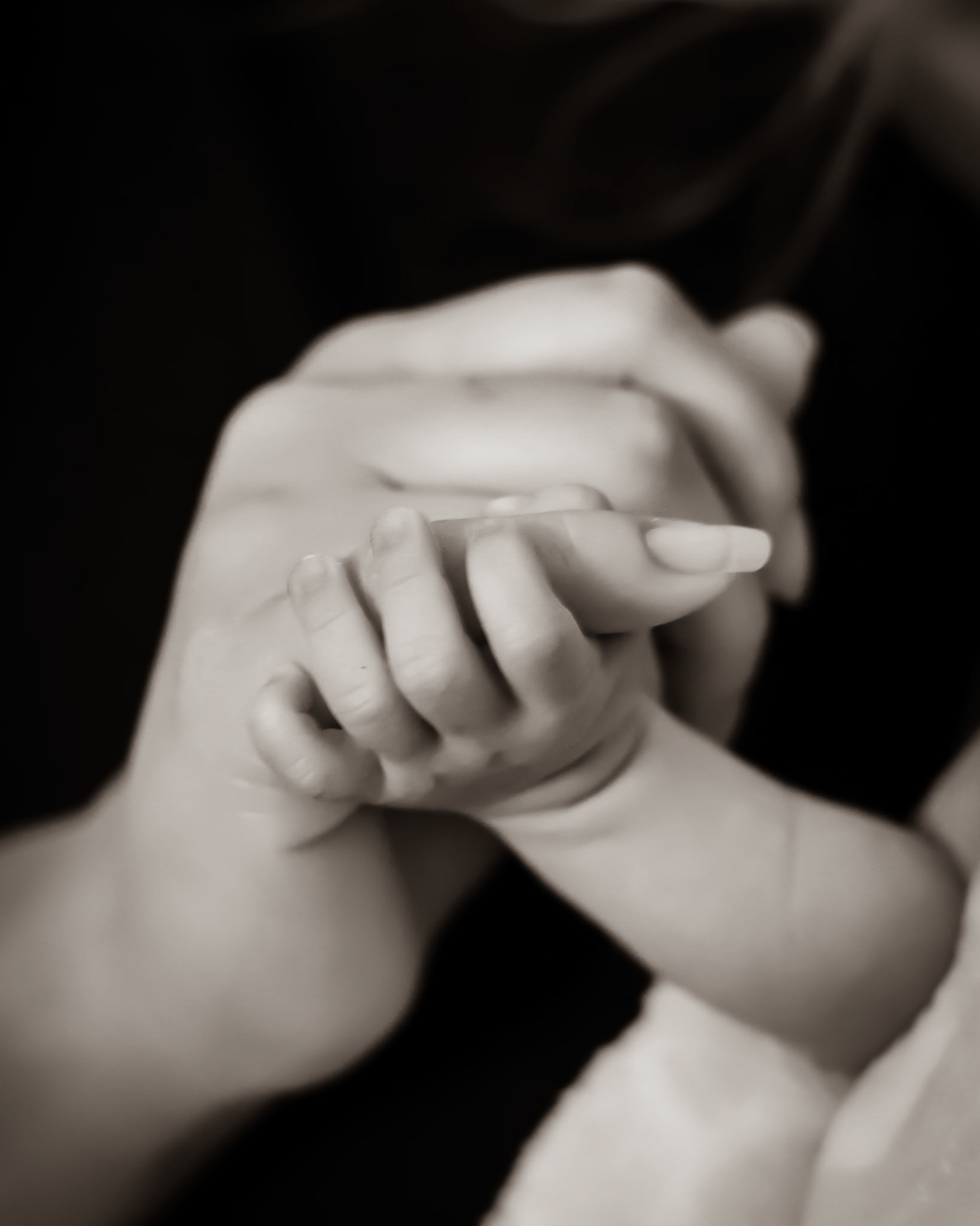 Central Florida Newborn Photographer