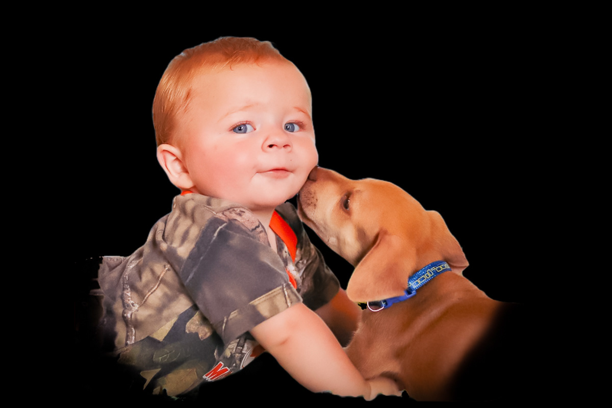puppy kisses baby on the cheek