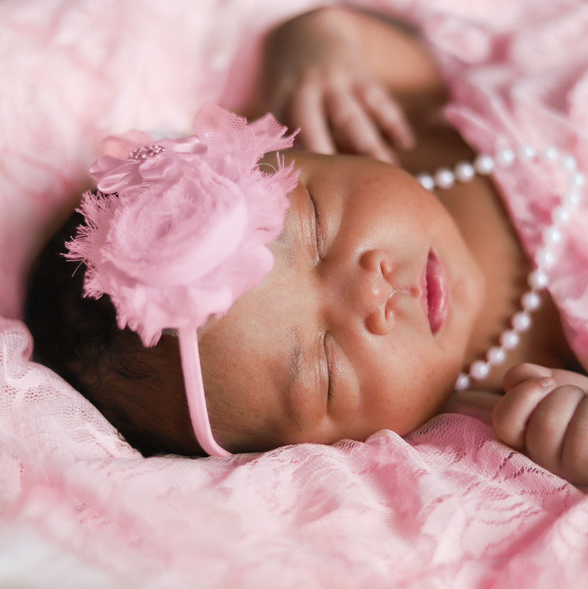 Newborn Portrait Sessions