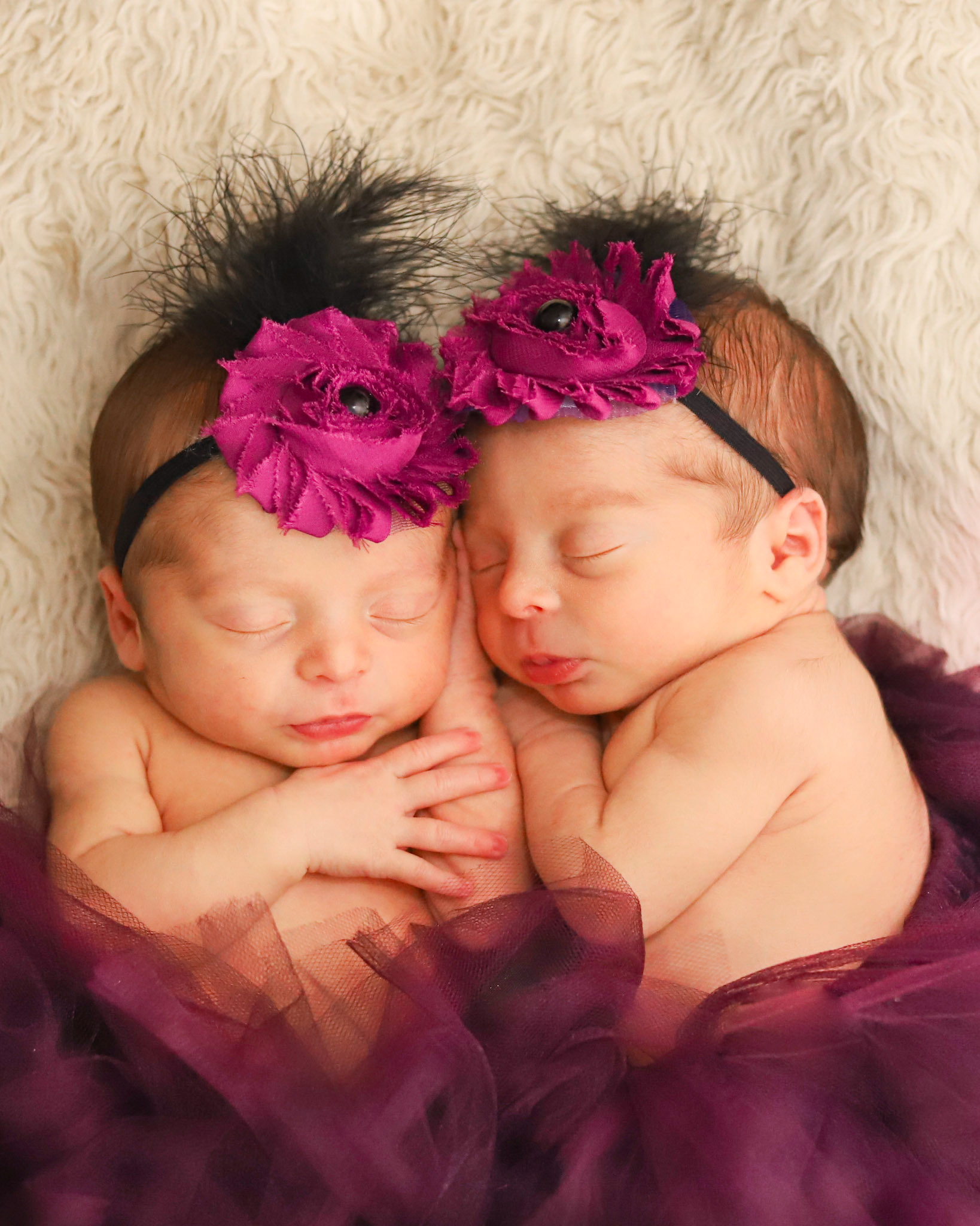 Central Florida Newborn Photographer