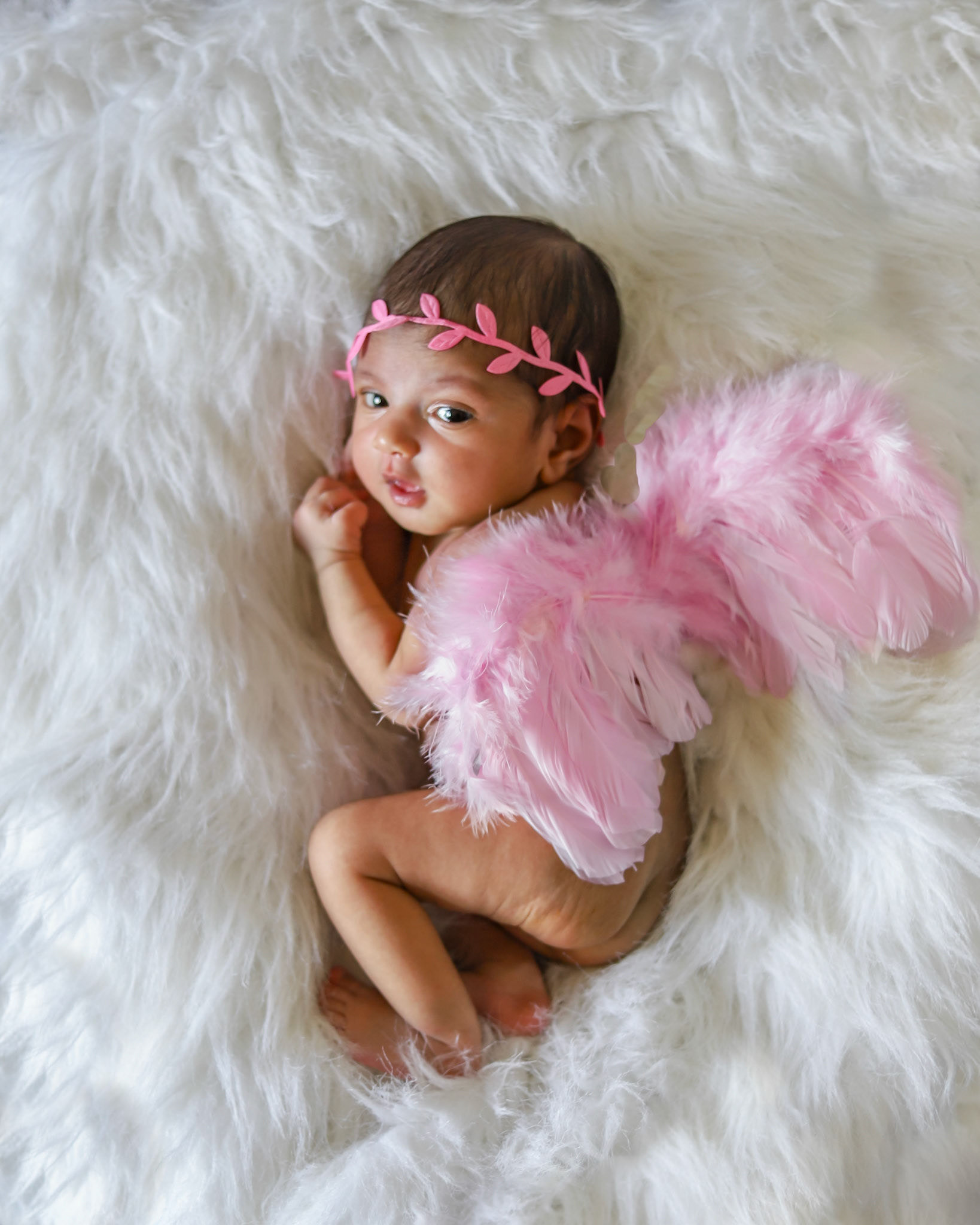 Central Florida Newborn Photographer