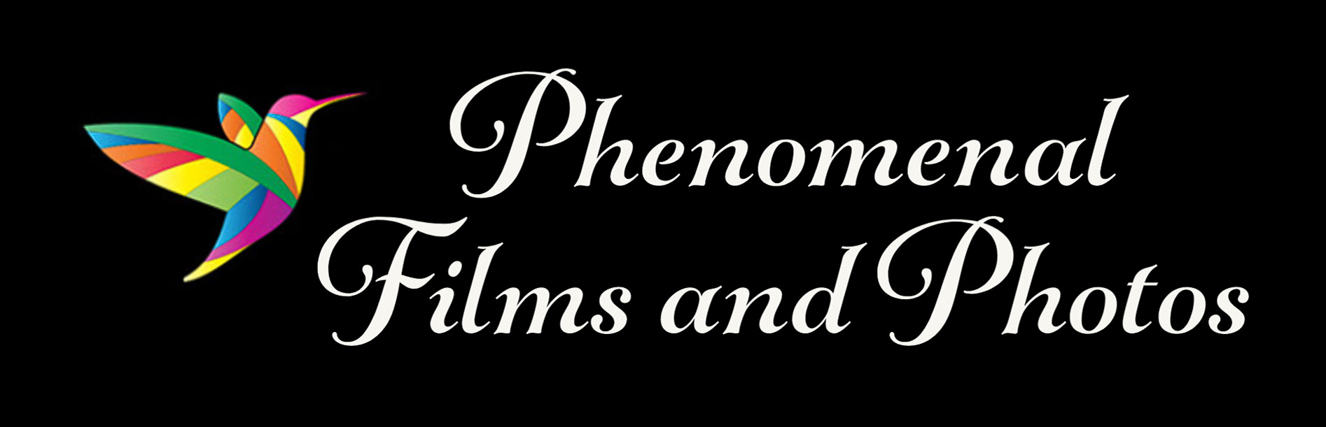 Logo, rainbow stepped hummingbird silhouette hovers next to text that reads, " Phenomenal Films and Photos". Links user back to homepage for Auburndale Photographer and Videographer of newborns and Family. 