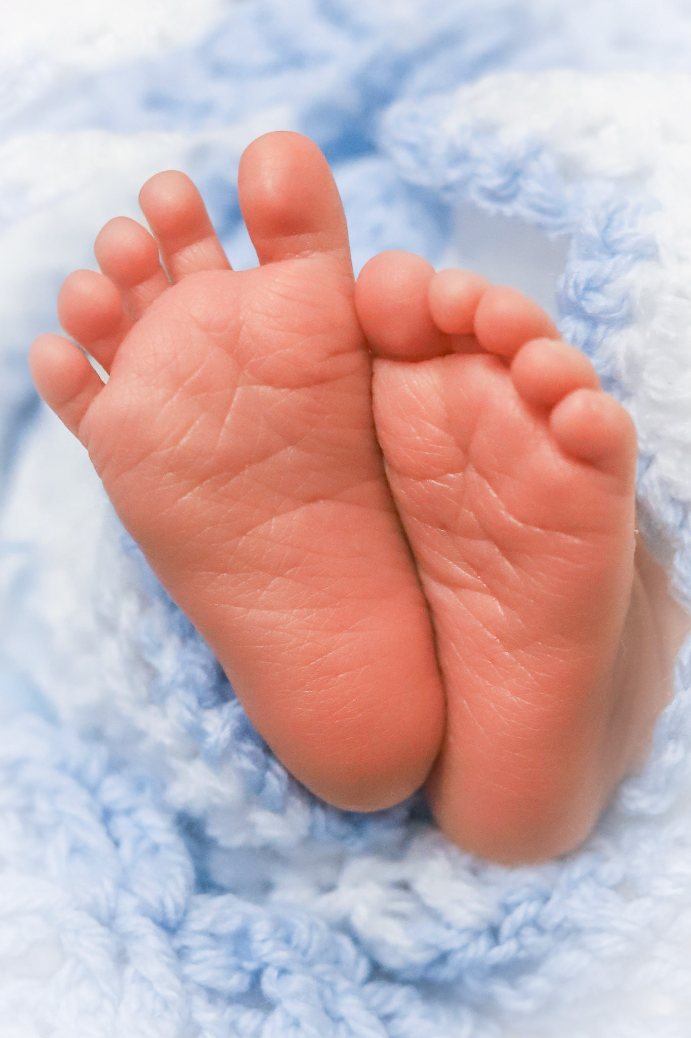 Newborn baby feet wrapped in blue blanket