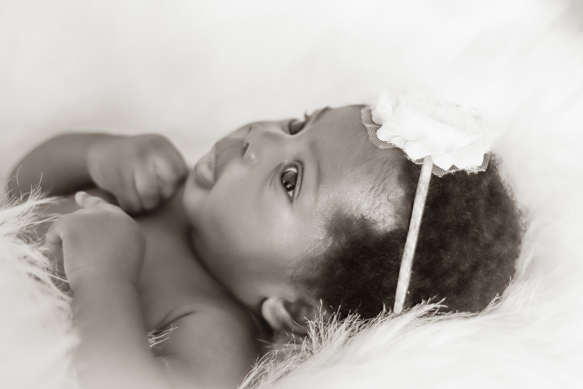 Central Florida Newborn Photographer