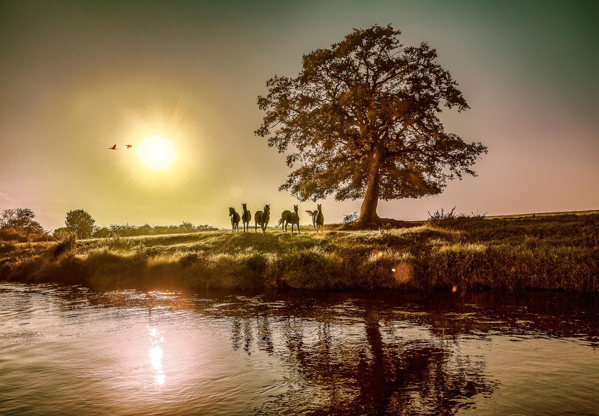 REGION HANNOVER: LEINE 01