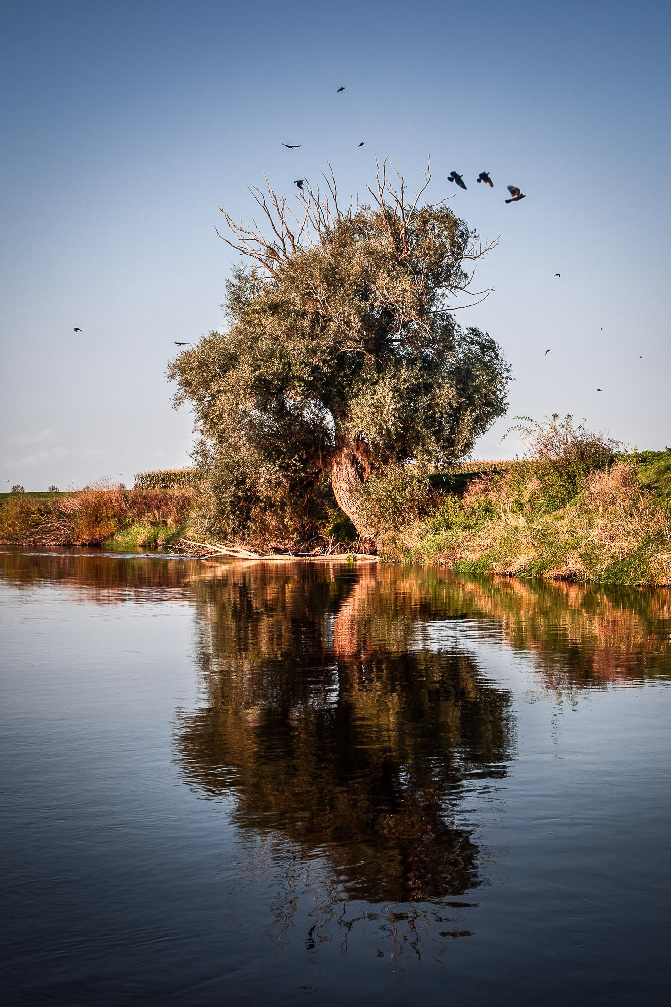 REGION HANNOVER: LEINE 02