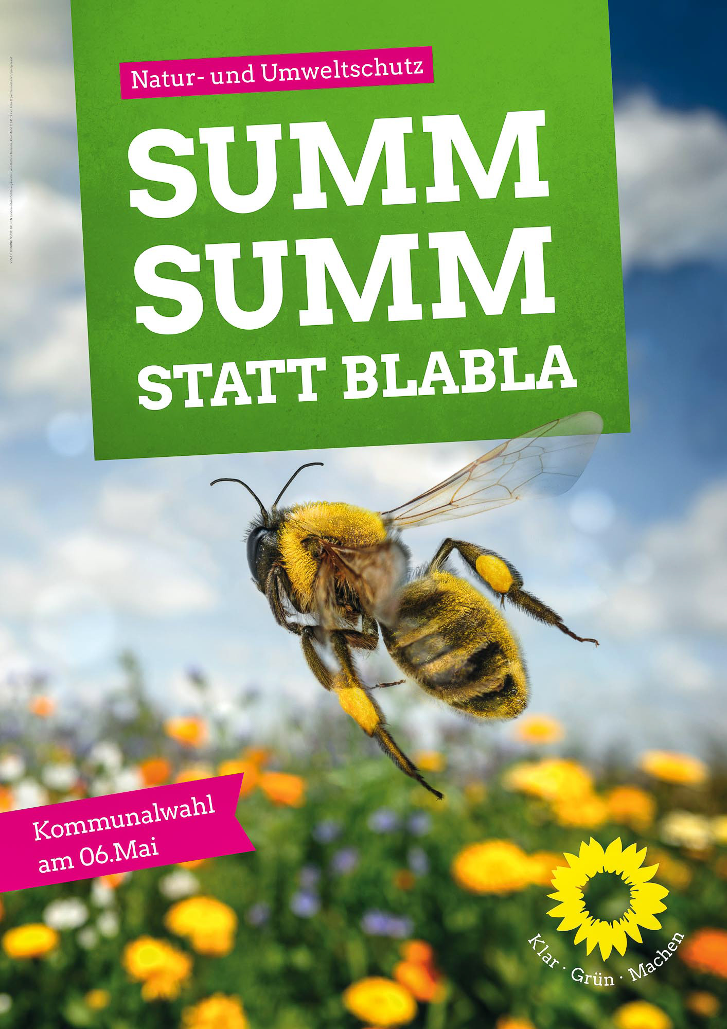 BÜNDNIS 90/DIE GRÜNEN SCHLESWIG HOLSTEIN: SUMM SUMM STATT BLA BLA 02