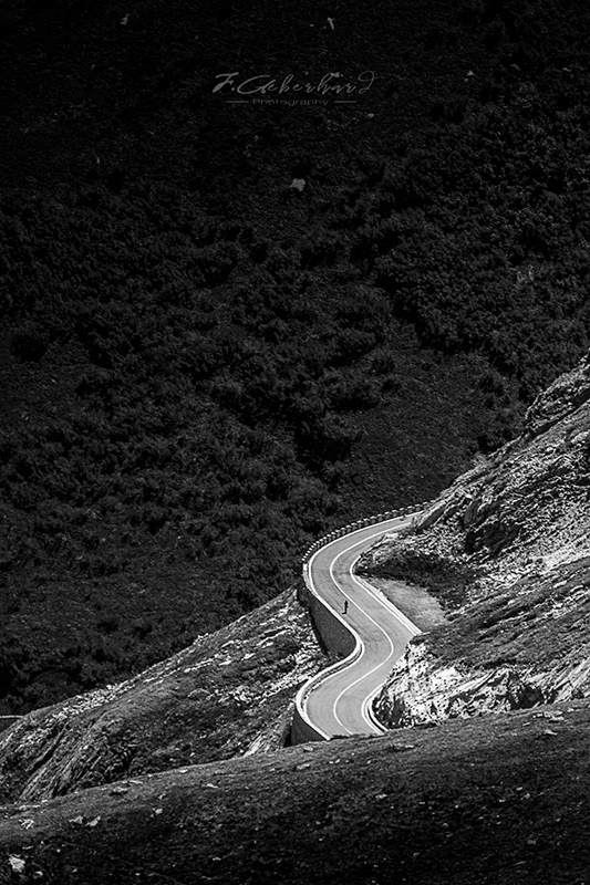 Le Cycliste