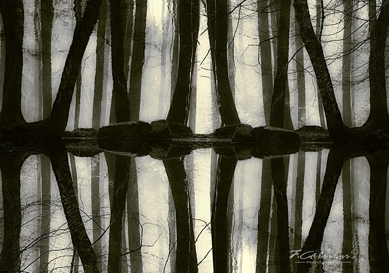 Mirroring