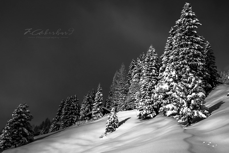 Hiver silencieux