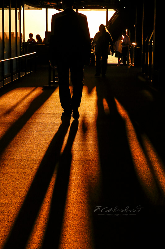Marcher vers la Lumière