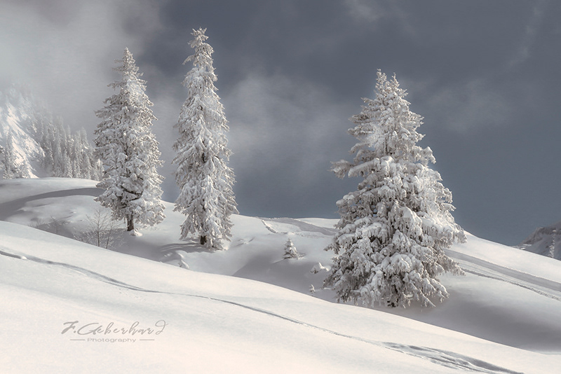 Un Bel Hiver