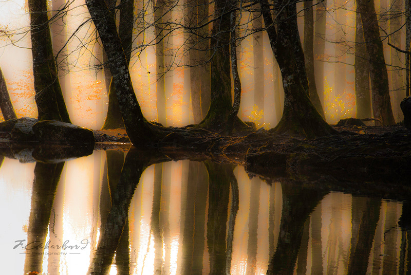 Miroir