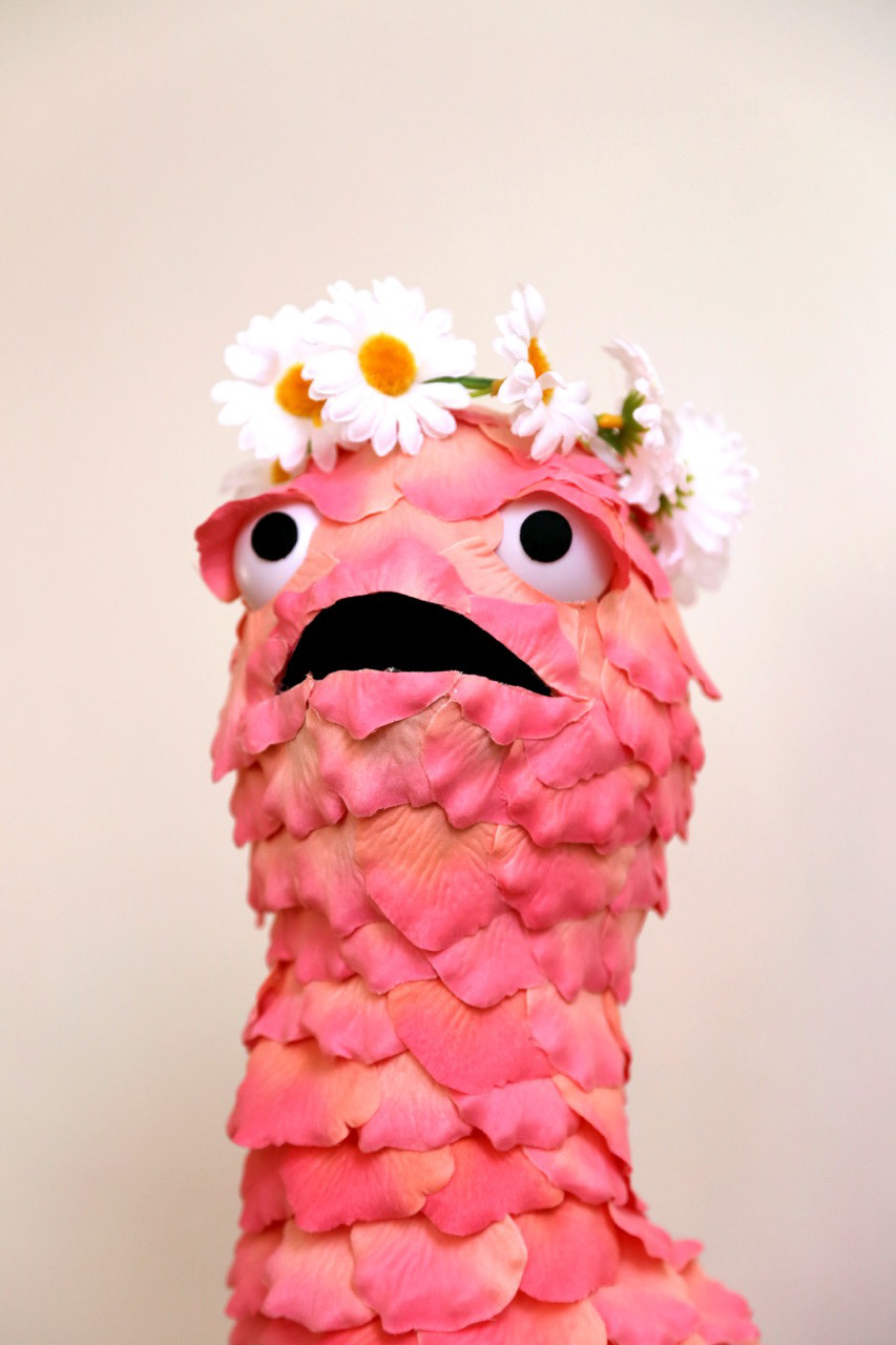 Petunia - Flower Bub, Empress of Summer