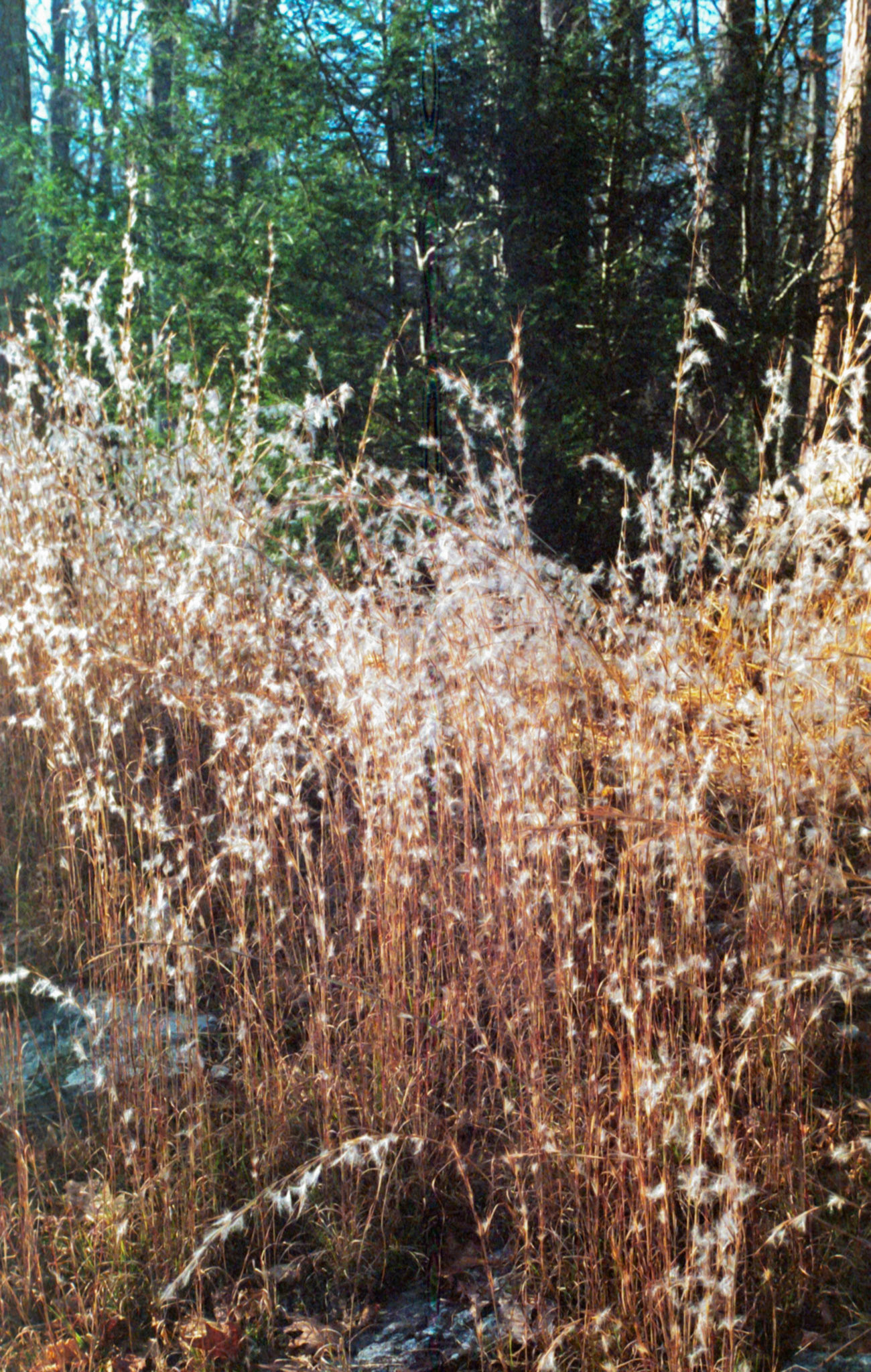 35mm